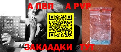 стафф Шебекино