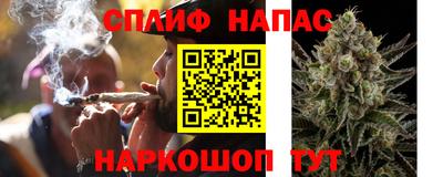 стафф Шебекино