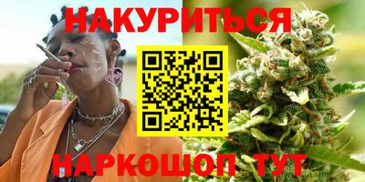 стафф Шебекино