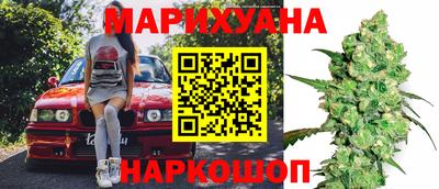 стафф Шебекино