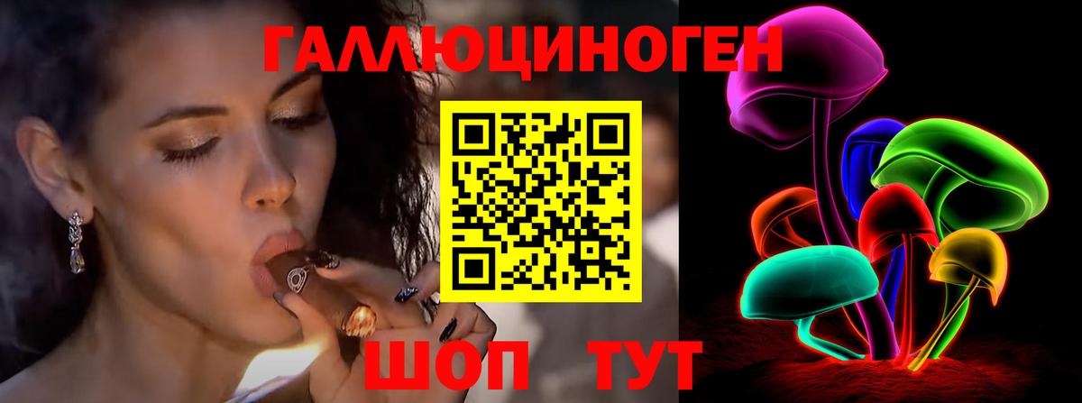 Крымск  Галлюциногенные грибы Psilocybine cubensis  Вход с VPN 